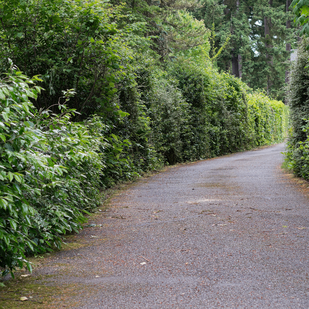 Quality Tarmaced Driveway by WCD Bagillt driveway company